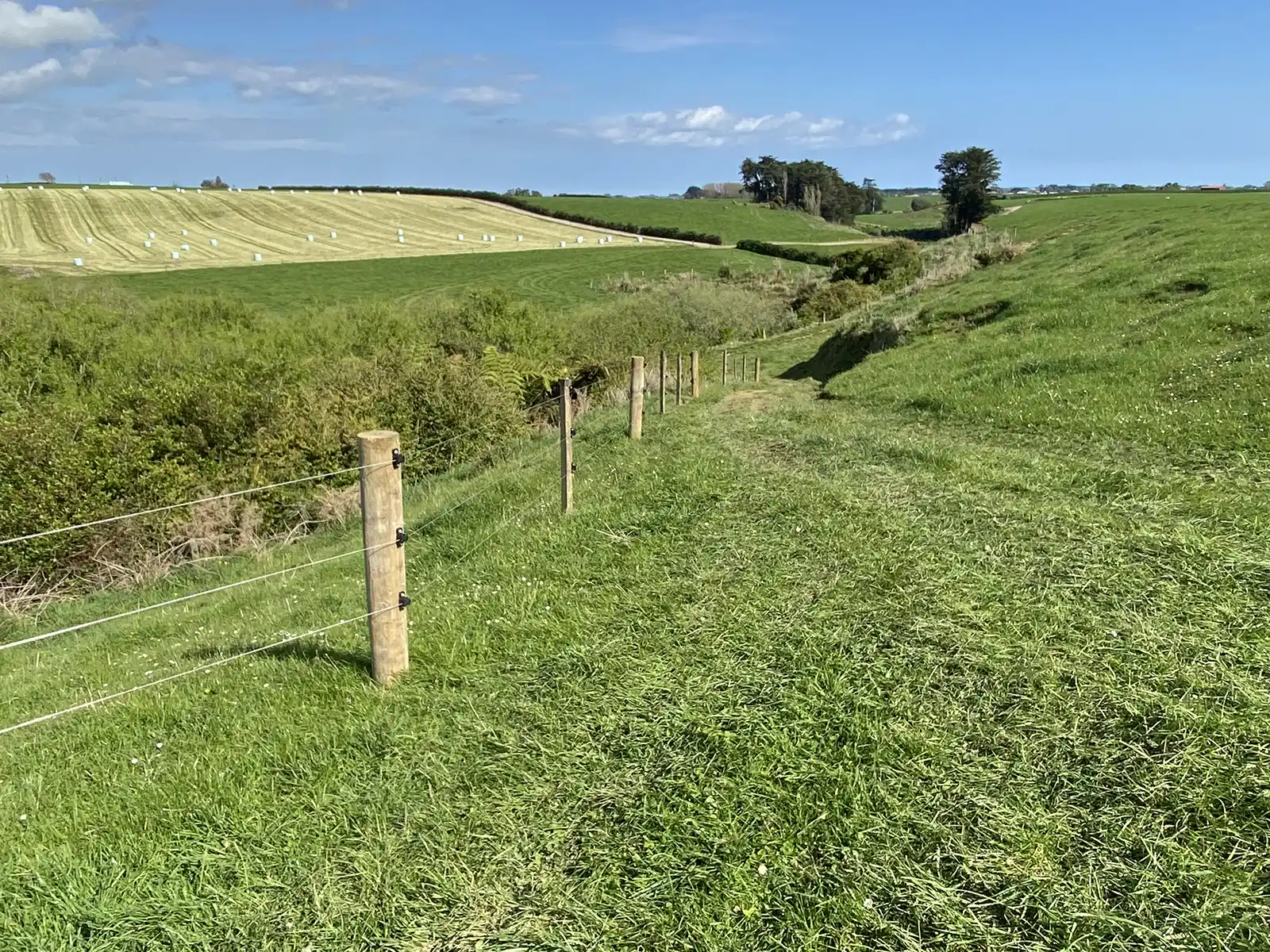 Electric fences by Madden Fencing