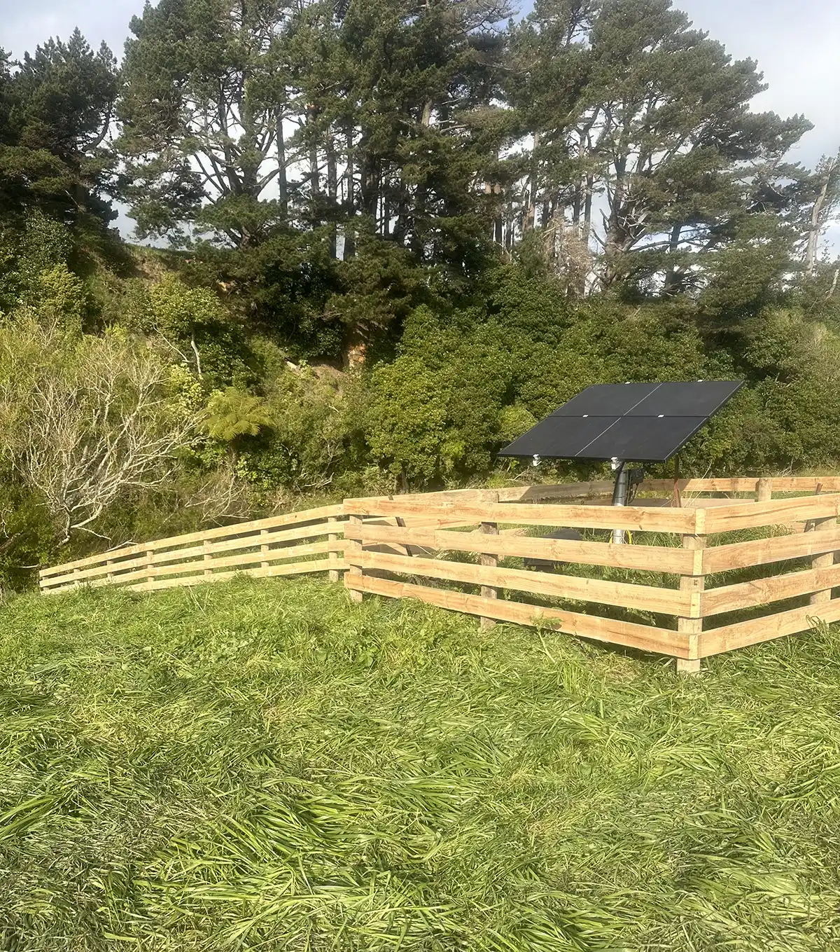Post and rail fences by Madden Fencing