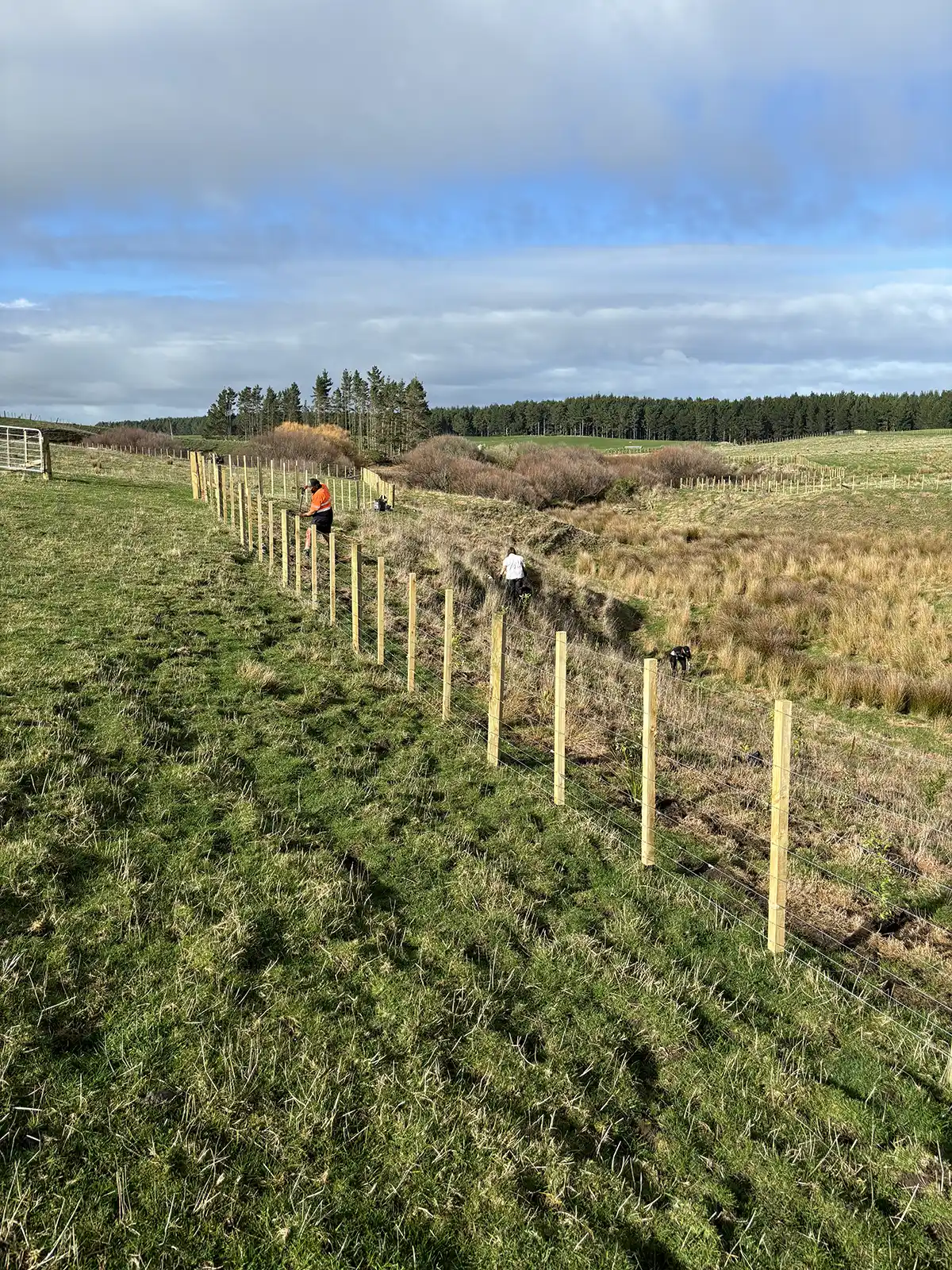 Wire and baton fences built by Madden Fencing