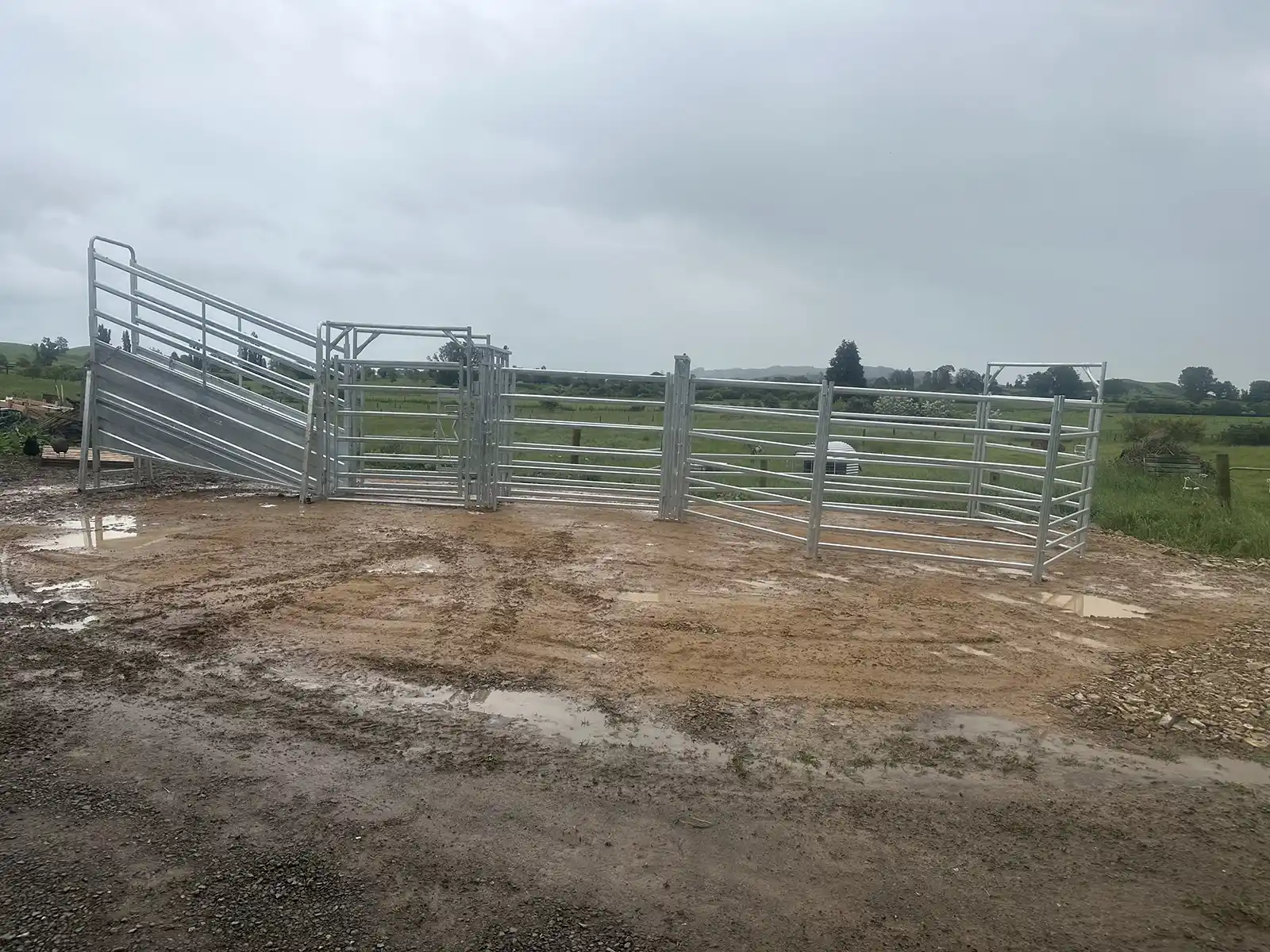 Madden Fencing sheep and cattle facilities in either timber or steel, or a combination of the two